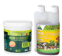 Eco Organic Garden Eco-Seaweed and Eco-Aminogro